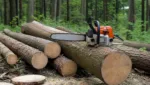 Ablaengen und Aufteilen von Stammholz mit der Kettensaege