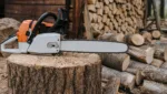 Beste Kettensaege fuer Brennholz kaufen: Leistung und Schwertlaenge waehlen