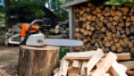 Kettensaege-Anfaengerprojekt: Effizientes Saegen und Stapeln von Brennholz zuhause