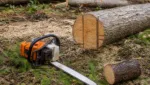 Kettensaege bei Stehendem und liegendem Holz: Haltung, Halt und Schnittplanung